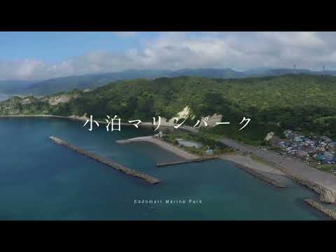 小泊マリンパーク