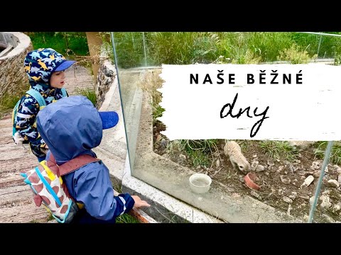 NAŠE BĚŽNÉ DNY | hřiště, výlet do Zoopark Milíčov, víkend, moje cvičení, testování PIERRE D'ARGENT