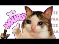 Lovely Sad Song 10 Hours