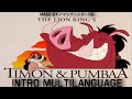 Timon Pumbaa Intro Multilanguage In 42 Languages NTSC Pitched