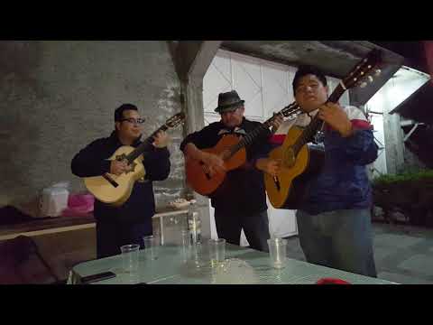 Tardes De Bohemia/Trío - Cada Noche Un Amor Ft. Mauricio Velez