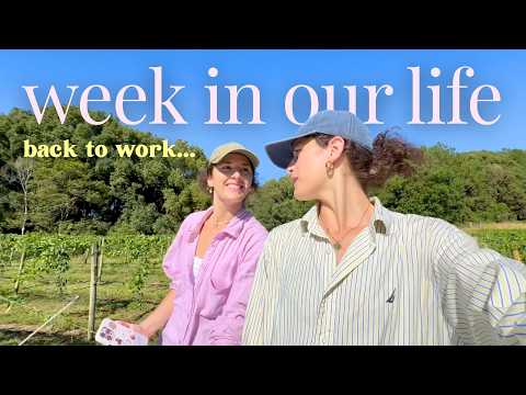 we got a new job 🫣 here's our new weekly routine