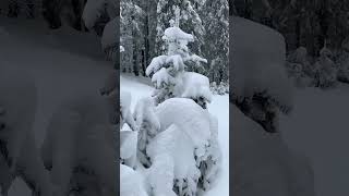 Snowy weather in Predeal, Romania #travel #travelvlog #romania