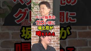 ペット販売のグロい闇 #政治 #動物愛護