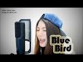 NARUTO SHIPPUDEN - BLUE BIRD┃Cover by Raon Lee