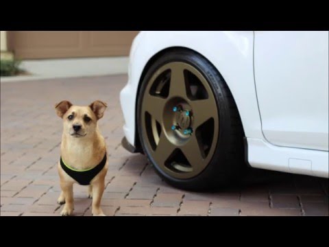 Fiesta ST gets new wheels - Fifteen52 Tarmacs