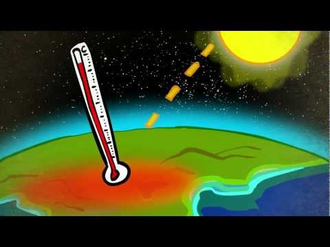 CO2, Regenwald und Klimaschutz