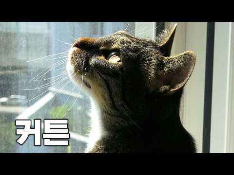 커튼 설치 하루만에 뜯어졌습니다...