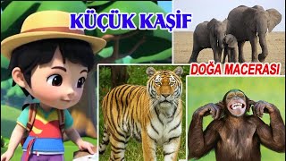 Küçük Kaşif - Doğa Macerası - Belgesel - Çocuk Belgeseli - Hayvanlar Alemi
