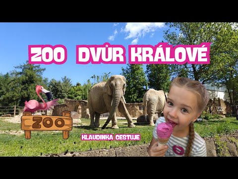 Klaudinka cestuje – Výlet do ZOO Dvůr Králové 🐘🐒🦒