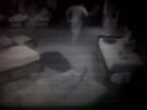 celebrity big brother dane has a fake nightmare