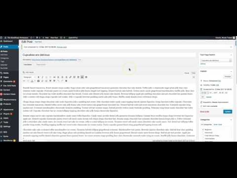 How to schedule your schedule you WordPress blog posts in advance
