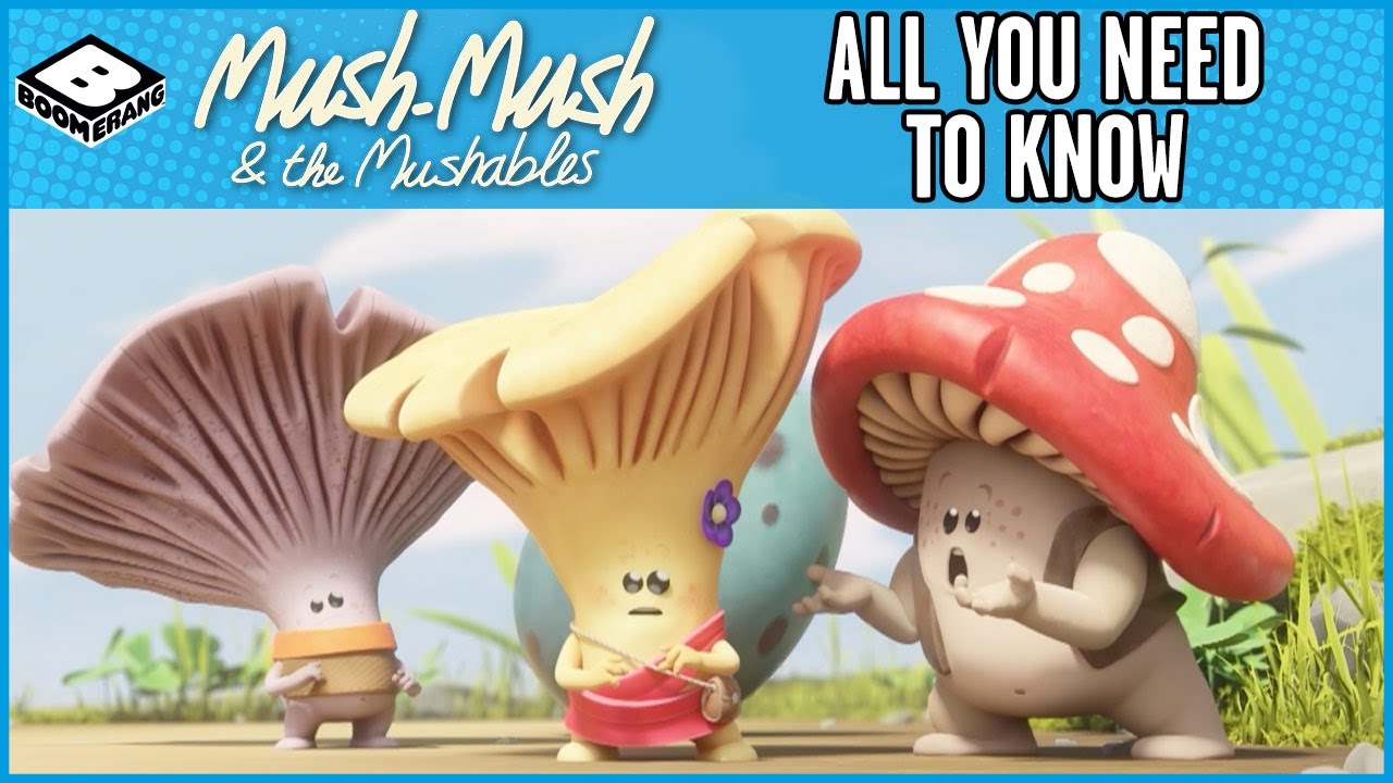 All You Need to Know