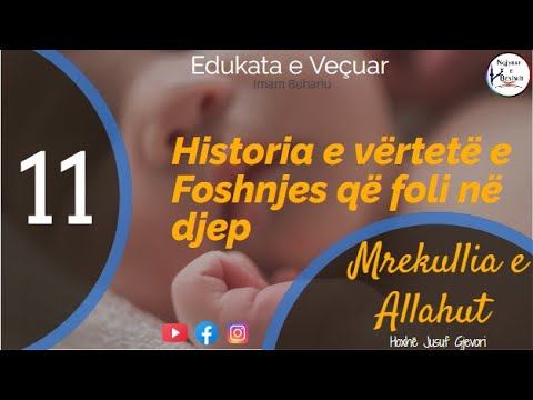 " Mrekullia ne historine e Xhurejxhit " - El Edebul Mufrad - Pjesa 11