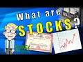 What are Stocks? | How do they Work for Beginners | Money Instructor