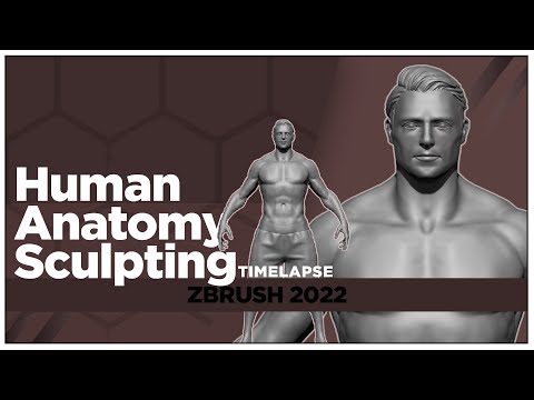 Zbrush Sculpting | Anatomy Sculpting in ZBRUSH 2022