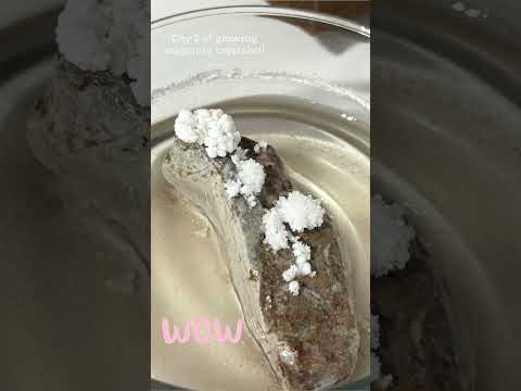 OMG!! Look how cool! 😎 #cdesignsandminerals #crystals