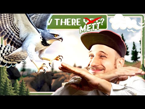 RV There Yet? #13 🚐 Aggressive Adler attackieren ahnungslose Abenteurer! • METT #052