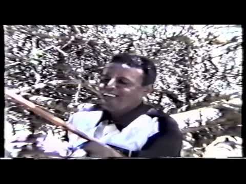 Eritrean music berhe ghile Meshesh