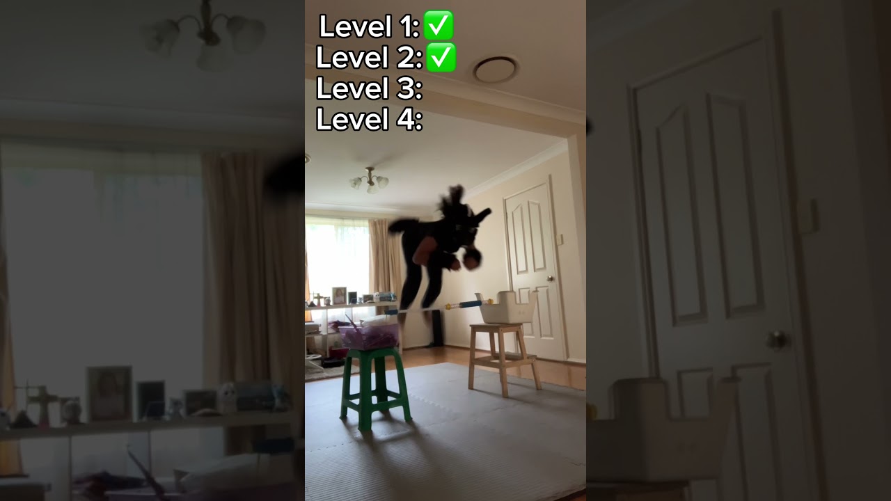 quad jumps! || #therian #quadrobics #furry #quads #workout