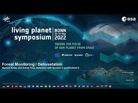 Burned Areas Detection with Sentinel-2