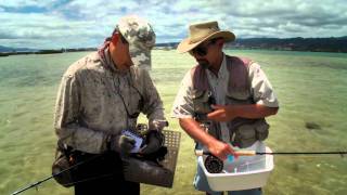 HGF303 The Secret Life of Bonefish