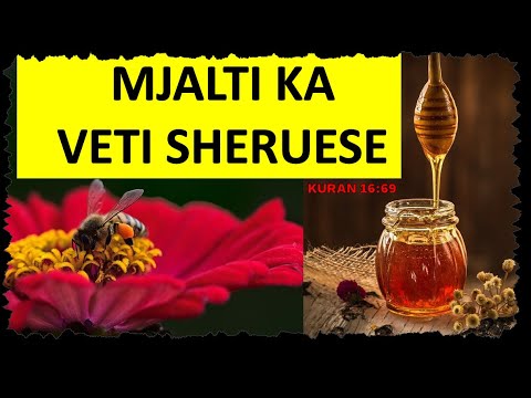 Mjalti ka veti Shëruese | Surja Bleta (En-Nahl)