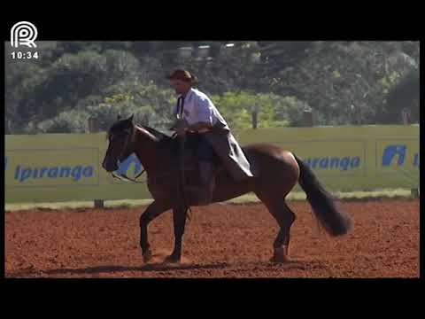 Classificatória Região SC/PR – 5° lugar fêmeas – Natividade Erva Mate (Prova: Bayard/Sarmento)