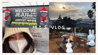 【韓国旅行】チェジュ島でハプニングもありつつ、充実した2泊3日 제주도에서 해프닝도 있으면서 충실한 2박3일 1