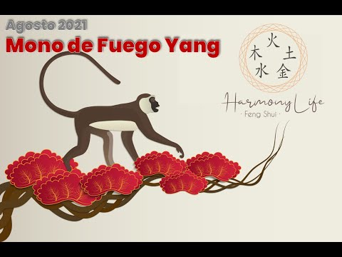 Mono de Fuego Yang
