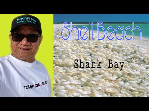 image-Is Shell Beach worth visiting?