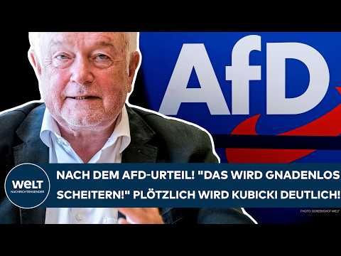 DEUTSCHLAND: Nach dem AfD-Urteil! "Das wird gnadenlos scheitern!" Plötzlich wird Kubicki deutlich!