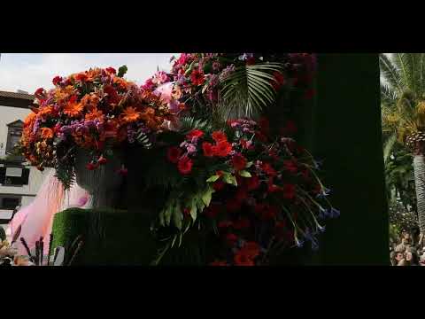 Madeira Flower Festival 2024 | Festa da Flor da Madeira | #madeira #flowerfestival