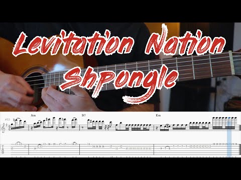 Insane Guitar Solo On a TRANCE Record - Levitation Nation / Shpongle / Pete Callard - Tabs & Notes