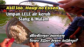 Download lagu Is this the concoction you asked for? Haup, no essence. Catfish bait for murky water, day and night. mp3