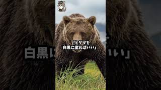 「税金の無駄遣いだ！」中国の次の標的はパンダ？日本の返しが秀逸！自民党立憲民主党高市早苗パンダ上野動物園
