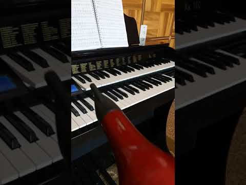 órgão digital acordes ax100 fica mudo