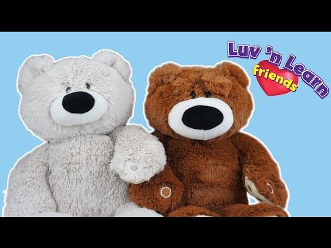 Luv'N Learn Friends Interactive Bear by Future Of Play
