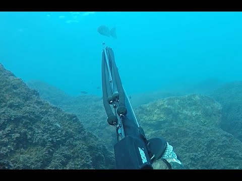 Winter days 1 - Mediterranean spearfishing