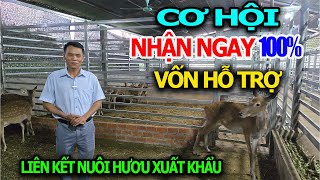Opportunity to Receive 100% Capital Support for Raising Russian Deer for Export from Southern Dee...