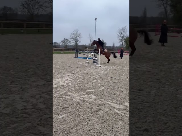 Kap&rsquo;Vert &ndash; SF 6ans &ndash; CSO (cycle libre) Potentiel Sport 