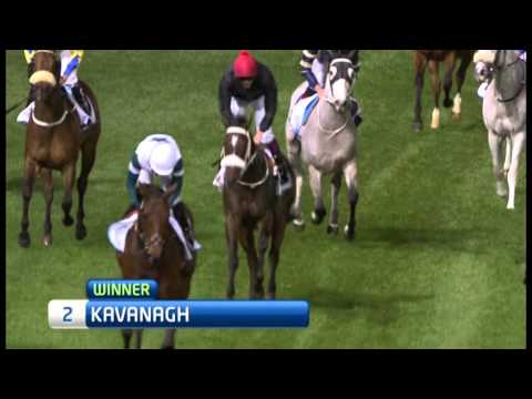 02.03.2013 Meydan (Dubai-UAE) 1.Race Energia Elegante - 1.200 m