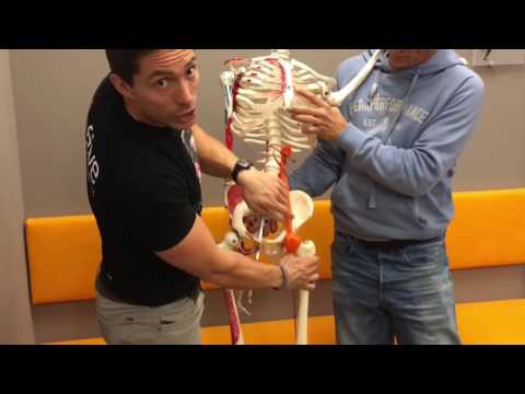 Der Name der Krankheit, wenn die geschwollenen Gelenke in ihren Arm Welche Pillen trank von Gelenkschmerzen