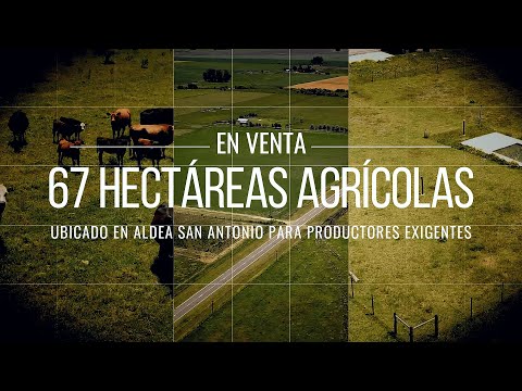 67 hectareas agrícolas en Aldea San Antonio