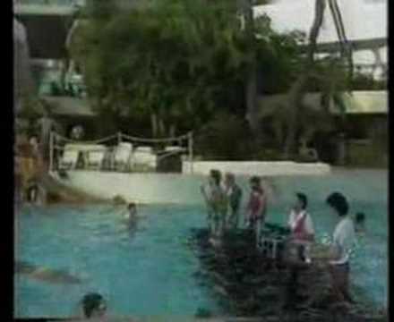 Kadanz - Dagen dat ik je vergeet