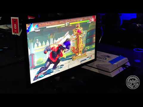 HB|Docta Afrikan E.X. (Bison) vs Jibrill (Birdie)