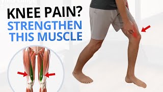 4 Quadriceps (VMO) Strengthening Exercises for Painful Knees