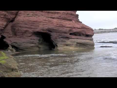 Fort Minor - Remember The Name (Remix Cover)