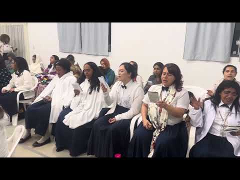 CURA - HINÁRIO FLORES, OLIVIO FONSECA