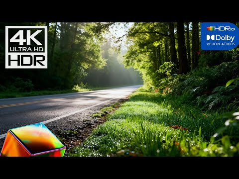 Forest Road Trip sonic beautiful nature in 4k HDR 60p– OLED Demo | Pure Blacks 4K HDR Dolby Vision